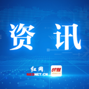 公示公告