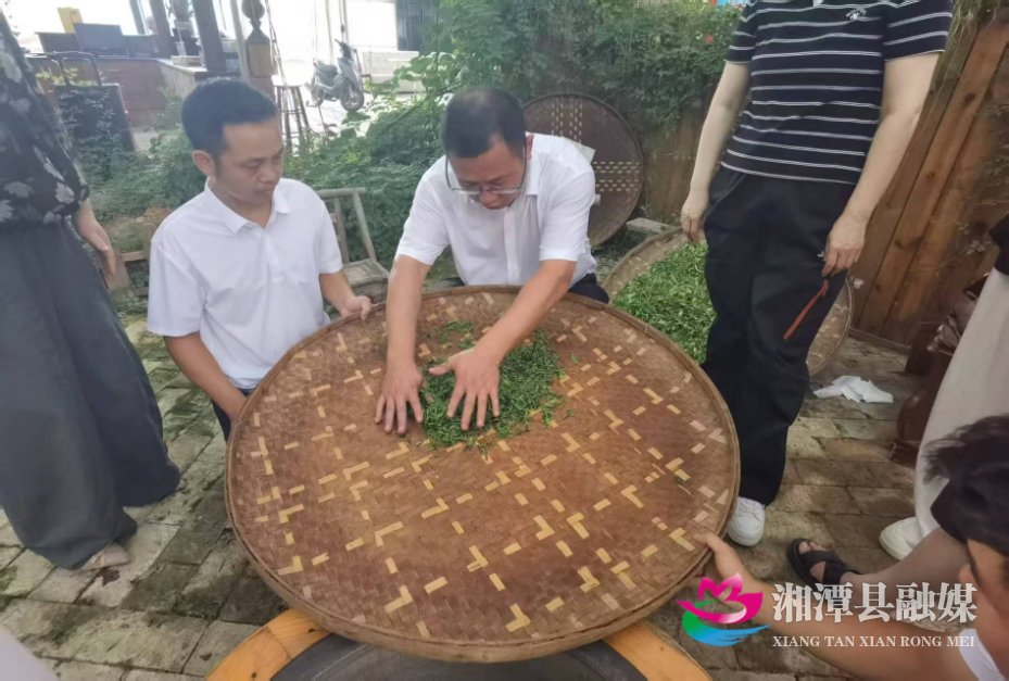 湘潭县开展全省茶叶精制大赛赛前实操练兵培训