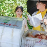 走田访户察农情 湖工商学子深入紫鹊界调研山地杂粮产销之路