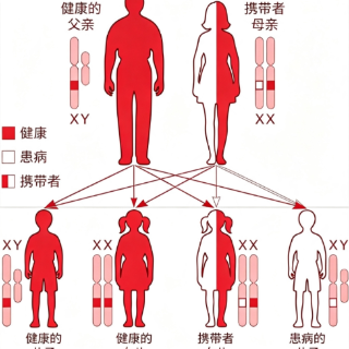 15岁突然不能走路,家族男性接连倒下,这个遗传病太可怕