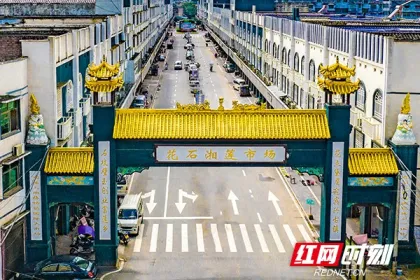视频丨通心白莲的“窄路”突围：一个返乡青年与花石镇的产业新尝试