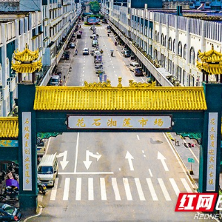 视频丨通心白莲的“窄路”突围：一个返乡青年与花石镇的产业新尝试