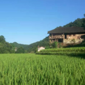 守牢集体“钱袋子” 立起监督“硬脊梁”