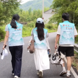 桃林深处护清流，青春脚步量青山——林科大学子赴炎陵密花村实践纪实