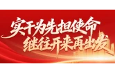 实干为先担使命 继往开来再出发｜出实招 求实效 贯彻落实区党代会精神这样干（一）