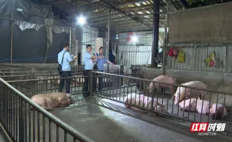 宜章县：多部门联动严查私屠滥宰 筑牢食品安全防护网