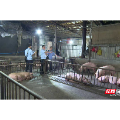 宜章县:多部门联动严查私屠滥宰 筑牢食品安全防护网