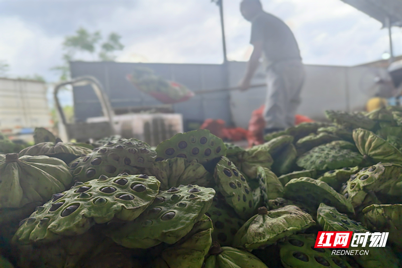 微信图片_20260811161903.jpg 微信图片_20260811161903.jpg
