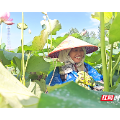 组图 | 资兴市:小莲子铺就乡村振兴共富路