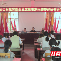 茶陵县枣市镇岩口村:奖学励志暖人心 公益课堂助成长