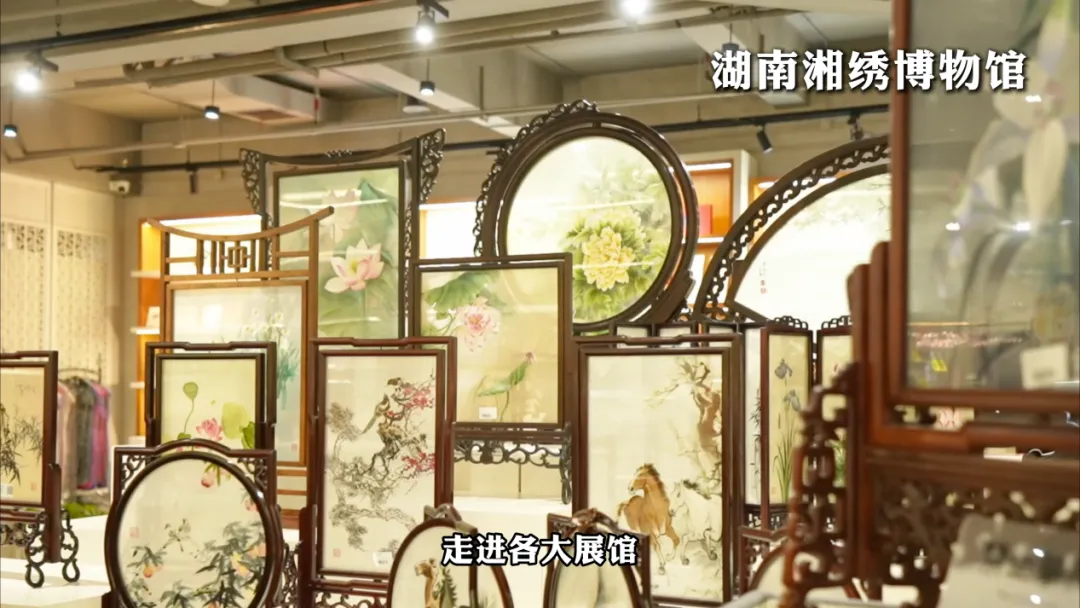 图片 11.png 图片 11.png
