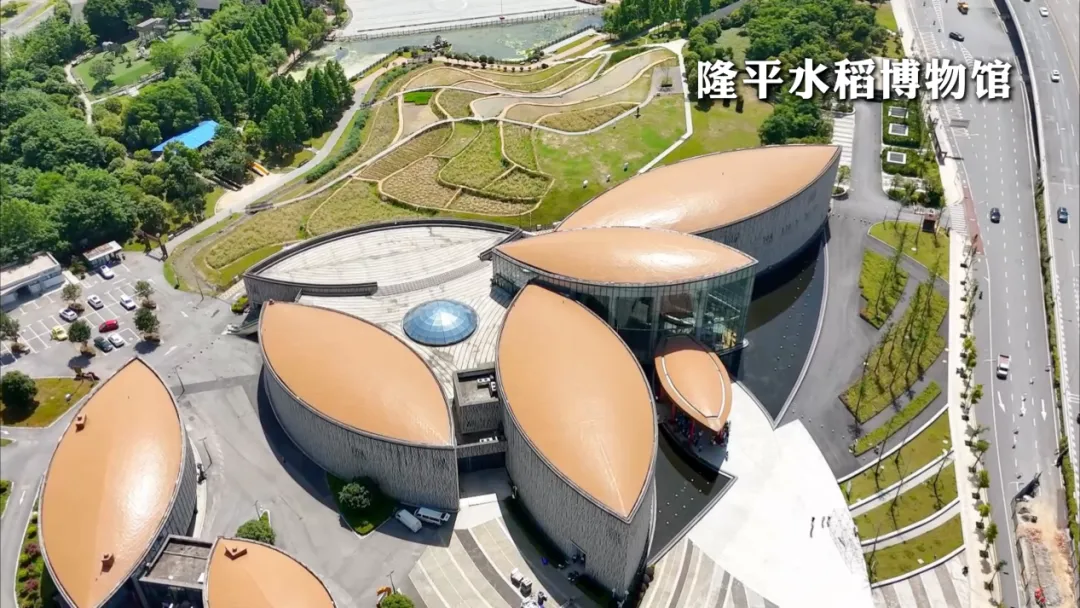 图片 12.png 图片 12.png