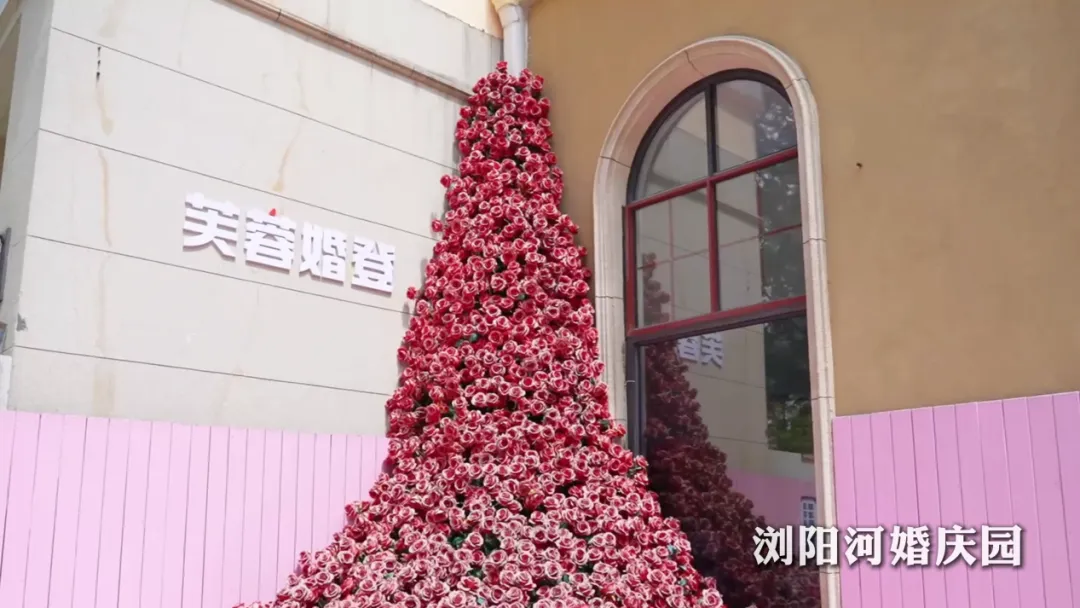 图片 6.png 图片 6.png
