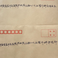 纸短情长藏暖意 中西护心显担当
