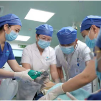 2026最美医者|张新萍:在生死之间,稳住下一步