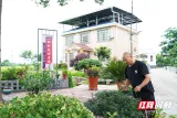 和美乡村看湘潭丨湘潭市雨湖区新石村的“焕新蝶变”