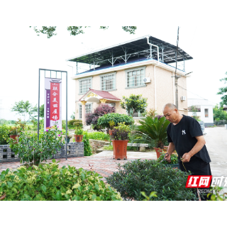 和美乡村看湘潭丨湘潭市雨湖区新石村的“焕新蝶变”