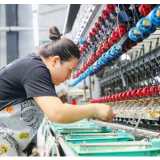 湖南新田:抓“桑”机 开“丝路” 促振兴(组图)