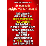 企业想出海，湖南把“管家”配好了丨湖南经济微观察系列评⑦