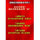 央地握手，湘企出海需破几重局？丨湖南经济微观察系列评⑧