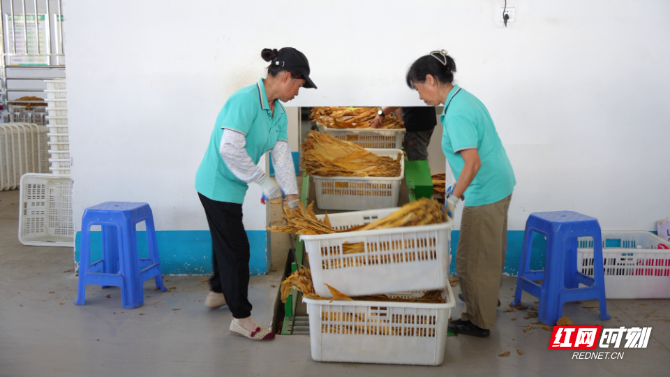 312_53_副本.jpg 312_53_副本.jpg