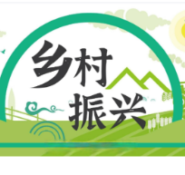 零陵:瓜果飘香采收忙 产业振兴促增收