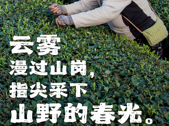 海报丨下一张“出圈”的田野大片，会是你的吗？