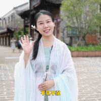 邂逅古城宋韵烟火！茶陵一二总街宋韵游园活动即将启幕