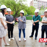 程蓓调研城市更新和半截路建设工作
