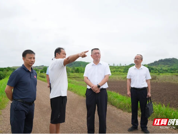 永州丨夏葛桉到零陵督导检查尾矿库安全生产和生态修复工作