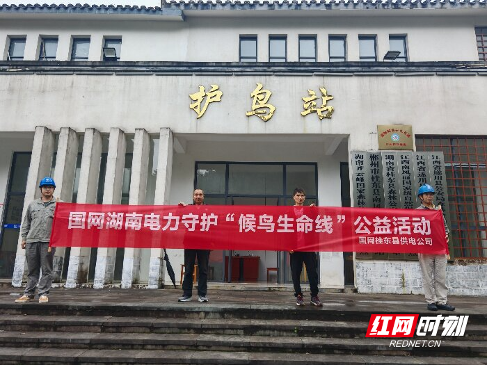 桂东公司  开展守护“候鸟生命线”公益活动 打造生态保护电力品牌 (3)压缩.jpg
