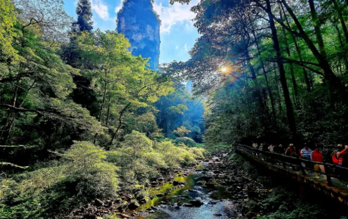 来张家界清凉一夏｜金鞭溪：幽谷清泉纳凉，解锁山野躺平康养慢时光