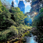 来张家界清凉一夏｜金鞭溪：幽谷清泉纳凉，解锁山野躺平康养慢时光