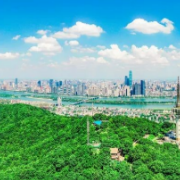 喜迎党代会 奋进新征程 中共长沙市委邀您建言献策｜长图