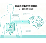 长期睡眠不佳?原因可能在肠道