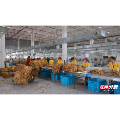 苏仙区：1.8万余亩烟叶开秤收购 送清凉暖心护航丰收季