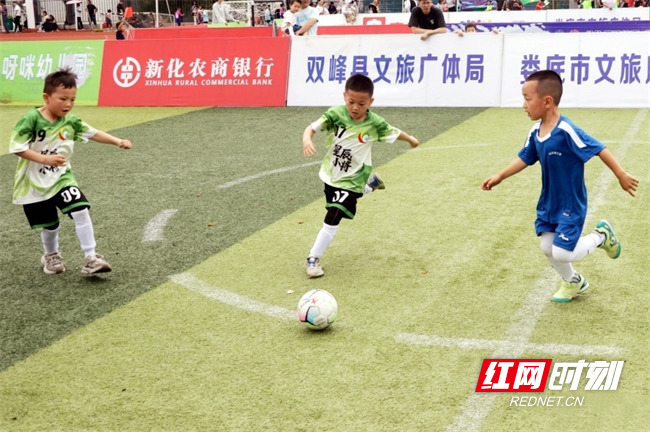 娄底“幼超”比赛现场。.jpg 娄底“幼超”比赛现场。.jpg