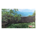 群山之上，有一座石头搭成的鹊桥