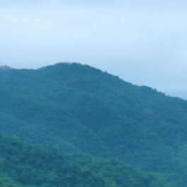 勇立潮头大湾区丨绿美看湾区山海协同“点绿成金”