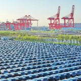 好评中国丨逐绿而上,以生态优势壮大发展优势