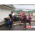 桂东县沤江镇：干群联动除隐患 居民生活更平安