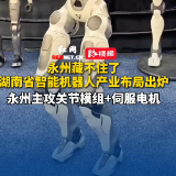 视频丨永州主攻关节模组+伺服电机！湖南省智能机器人产业布局出炉