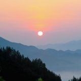 随笔丨洪樱:梨花落