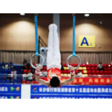 桃江9岁少年“屠榜”省运！一人狂卷6金2银
