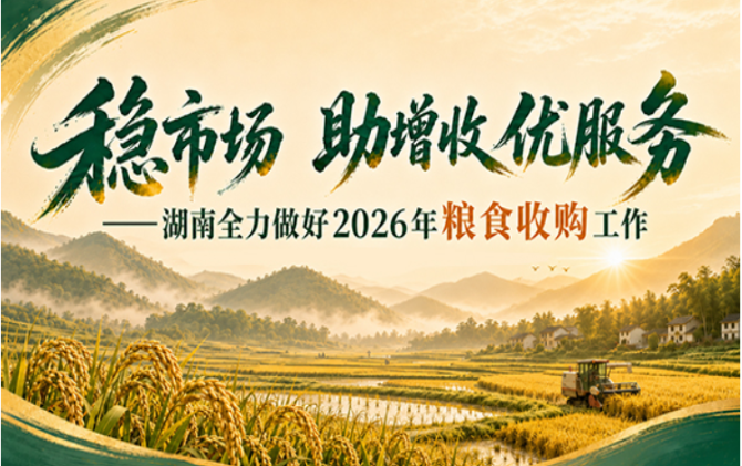 专题 | 应收尽收 优粮优价 湖南早稻收购全面铺开