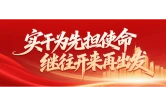 实干为先担使命 继往开来再出发｜出实招 求实效 贯彻落实区党代会精神这样干（七）