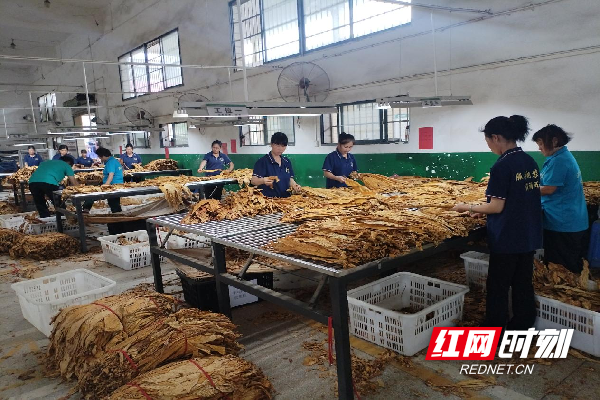 微信图片_20260819093444_435_121.png 微信图片_20260819093444_435_121.png