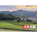 深耕乡土禀赋 激活产业动能——濠头乡绘就乡村振兴富民新画卷