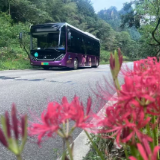 万株彼岸花开满黄石寨 峰林幽谷邂逅盛夏浪漫