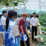 代码作桥藏乡韵,湘南古村焕新生:湖南信息学院学子交出振兴答卷
